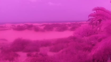 2026-10-21