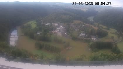 2025-08-29