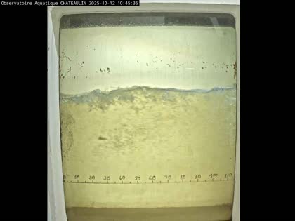 2025-10-12