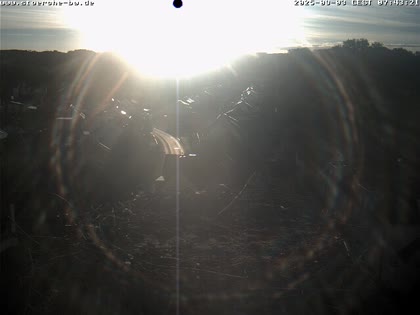 2025-09-03
