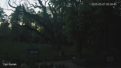 2025-05-07