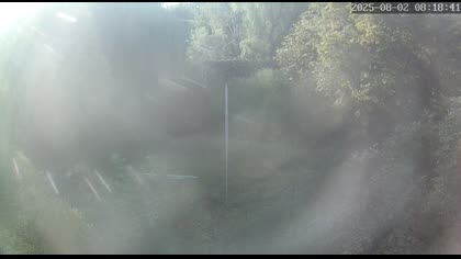 2025-08-02