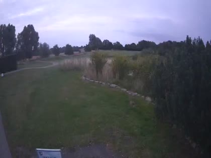 2025-08-08