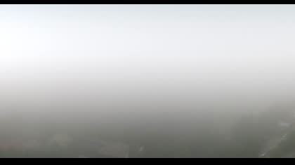 2025-08-02