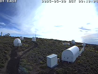 2025-05-20