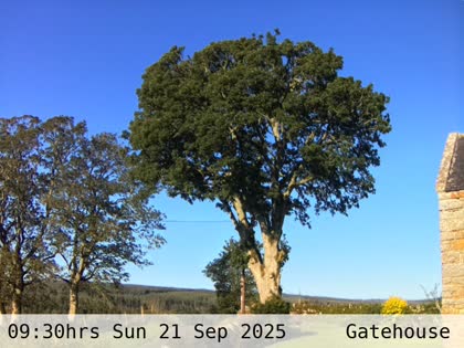 2025-09-21