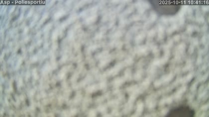 2025-10-11