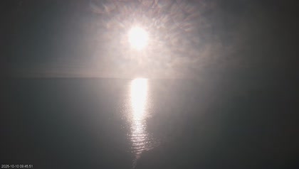 2025-10-10