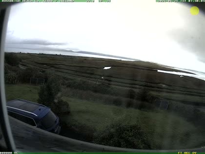 2025-06-25