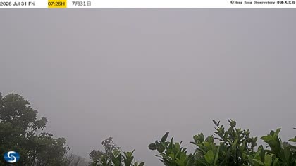 2026-07-31