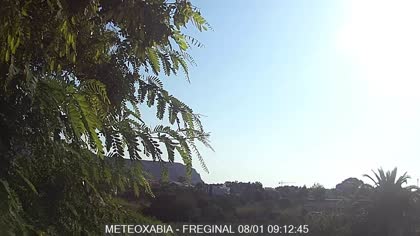 2025-08-01