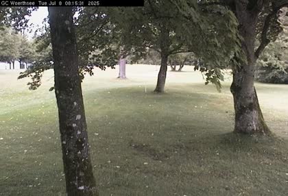 2025-07-08