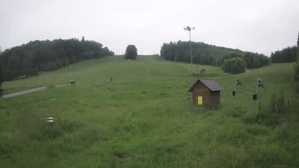 2026-06-10