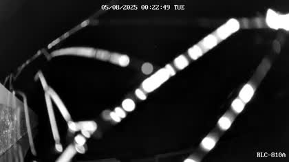 2025-08-05