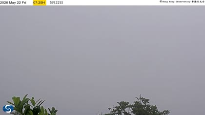 2026-05-22