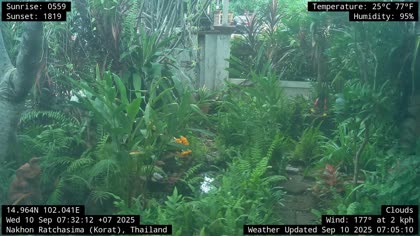 2025-09-10