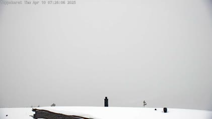 2025-04-10