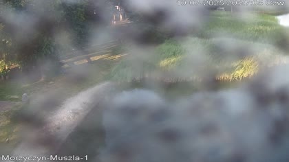 2025-07-10