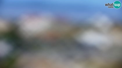2025-09-05