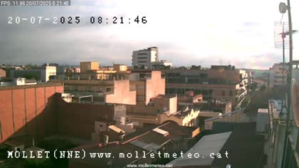 2025-07-20