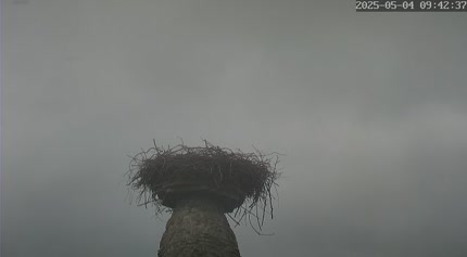 2025-05-04