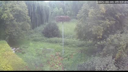 2025-08-04