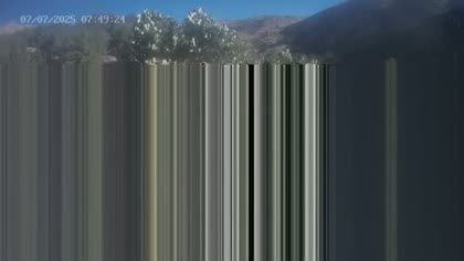 2025-07-07