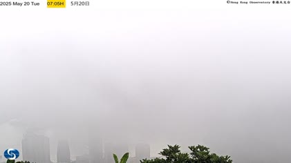 2025-05-20