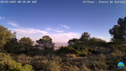 2025-07-19