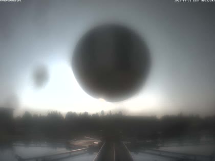 2025-07-31
