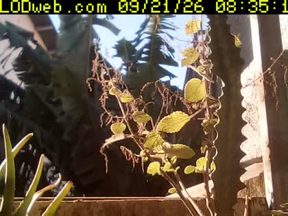 2026-09-21