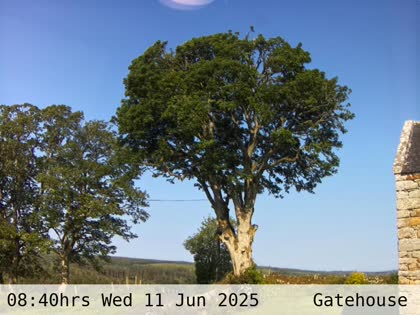 2025-06-11