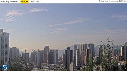 2026-08-10