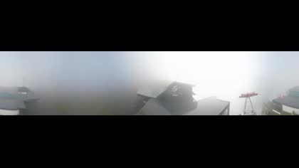 2025-08-29