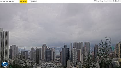 2026-07-31