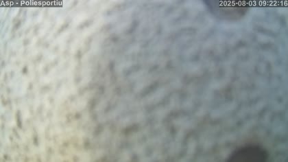 2025-08-03