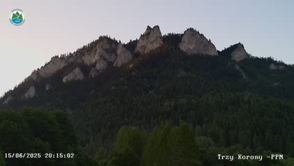 2025-06-15