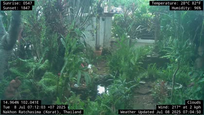 2025-07-08