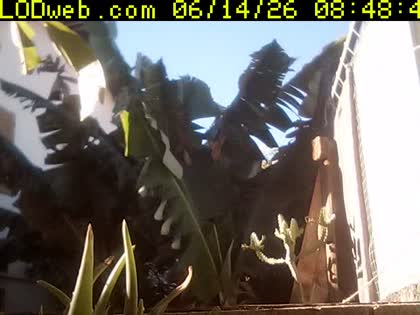 2026-06-14