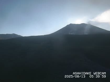 2025-08-12