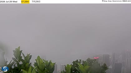 2026-07-29