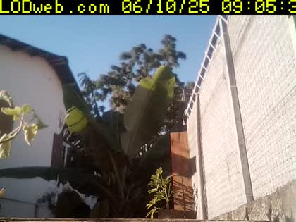 2025-06-10