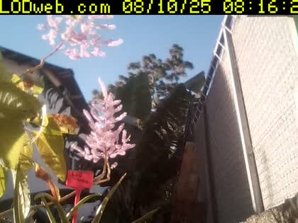 2025-08-10