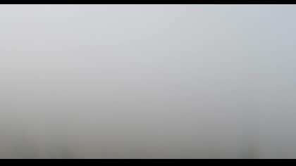 2025-08-10