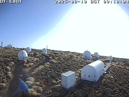 2025-08-10