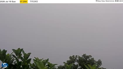 2026-07-19