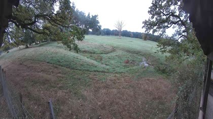 2026-10-03