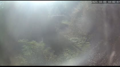 2025-10-01