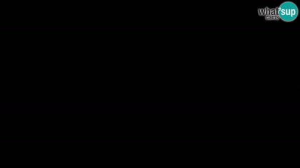2026-06-03