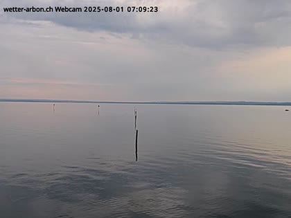 2025-08-01